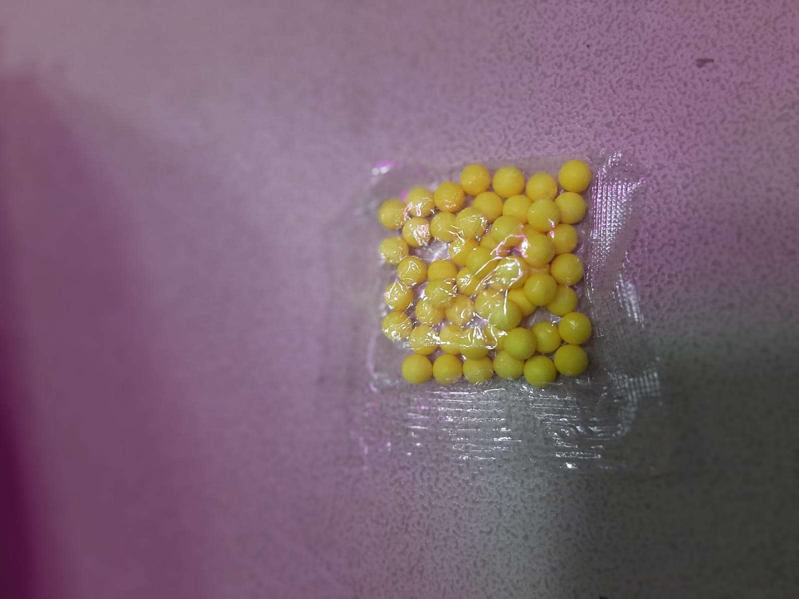 Miniatura 5 de X3 Balines Plasticos 6mm